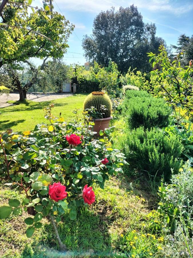 Gervasella Villa Pontedera Buitenkant foto